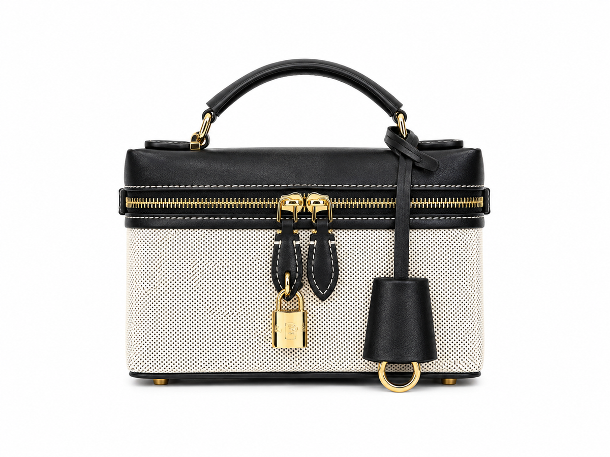 loro piana Luxe Vanity Box Bag