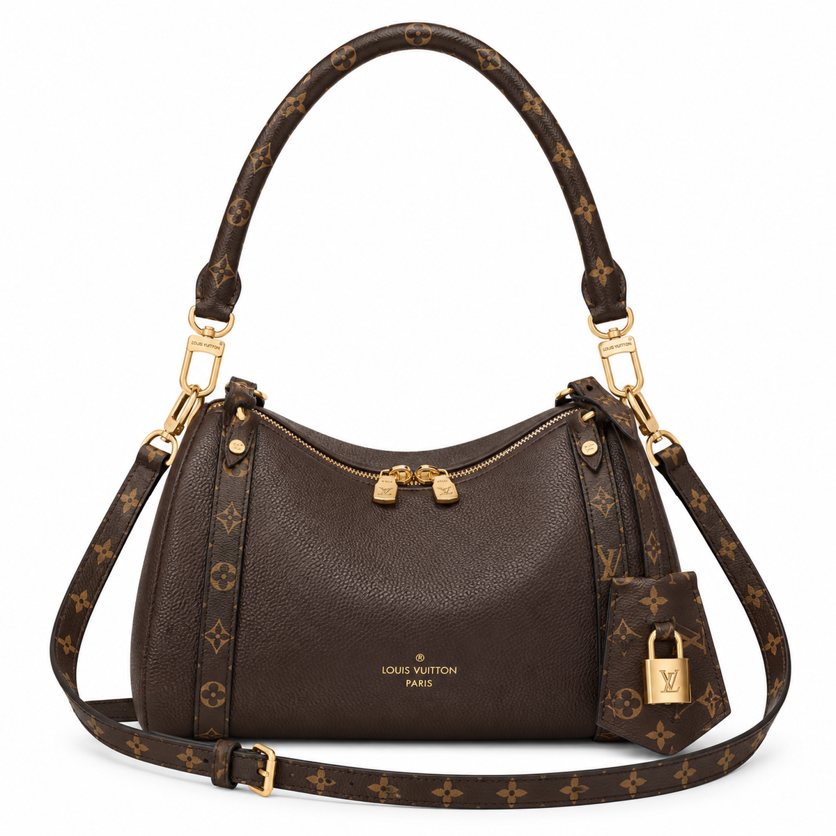 Louis Vuitton Monogram Hobo Shoulder Bag